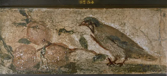 イタリア、ポンペイの鳥と果物（壁画）