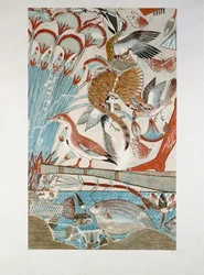 詳細：沼地で鳥を狩る．