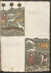 全ページ：テキストと細密画：「Carne le lepore" - ウサギとキツネ狩り：「熊狩り（ミニチュア）