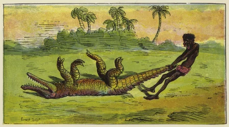 アシャンティの男が眠っているワニを尾で引きずる