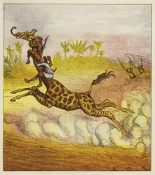 大胆な兄弟はキリンに乗ってゴリラを逃れる