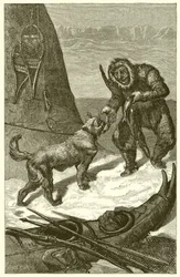 泥棒と犬