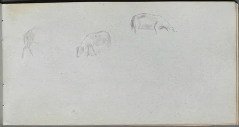 スケッチブック 20ページ：動物の習作