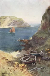 ラルワース コーブ (カラー リソ)