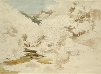 マッサ近くの森（紙に鉛筆とトイレ）