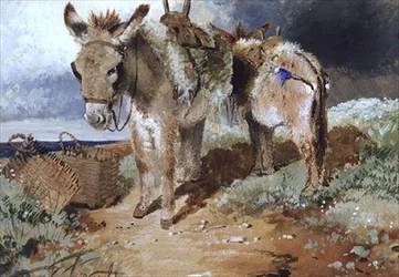 ロバ、1855