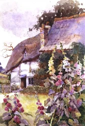茅葺き屋根の外のホーリーホック（水彩画）