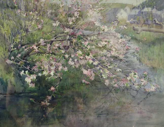 川沿いの花