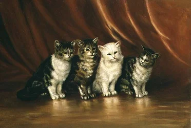 4匹の猫