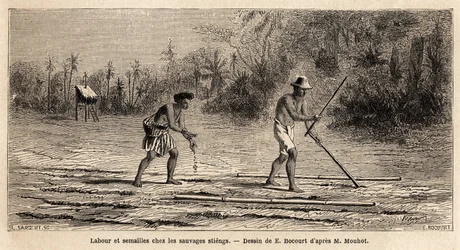 1858年から1861年にかけてシャム、カンボジア、ラオス王国を巡ったアンリ・ムホーの旅を説明するためにE.Bocourが描いた、カンボジアの森に住む野蛮人スティーングスの間での耕作と播種。Le tour du monde "に掲載された版画。