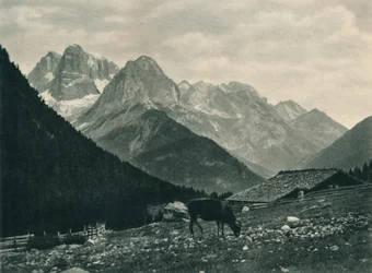 高山の牧草地、マドンナディカンピリオ、ドロミテ、イタリア、1927年のブレンタグループのビュー