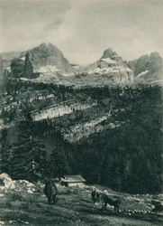 高山の牧草地、マドンナディカンピリオ、ドロミテ、イタリア、1927年のブレンタグループのビュー