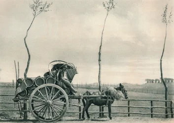 1927年にイタリア、ローマのカンパーニャにあるワインキャリア