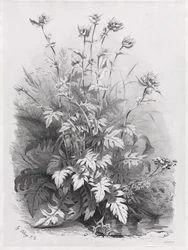 自然をモチーフに描いたさまざまな植物群 その7