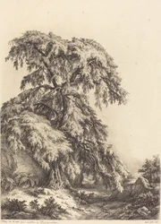 ジュニパー ツリー、1840 年。