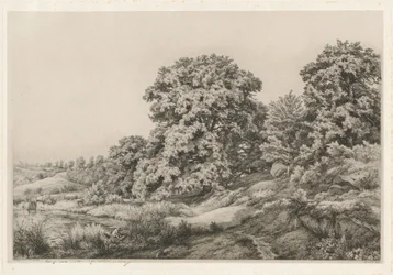 池の近くの樫の木、1852 年。