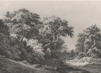ランブイエ近くの森の端、1860年。