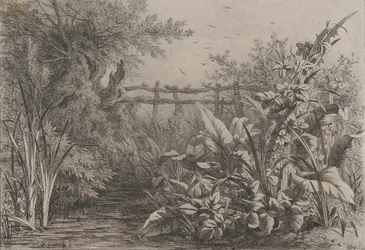 池、1857年。