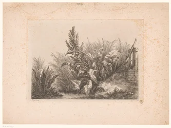 Waterzuring en riet aan de oever 小弁での水我慢 自然から描かれ刻まれた研究 (...) (シリーズタイトル)