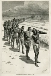 バサックとフエの間の水田を通る担ぎ手の列。1877年にハーマン博士が書いたラオスとインドシナの野生の人々についての物語を説明するために、ユージン・バーナンドが描いた絵をもとにエッチングしたもので、「tour du monde」誌に掲載された。
