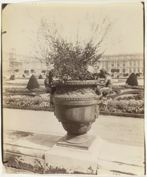 ベルサイユ、バリンの花瓶、1902 年。