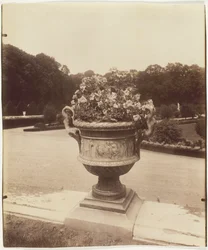 ベルサイユ、バリンの花瓶、1902 年。