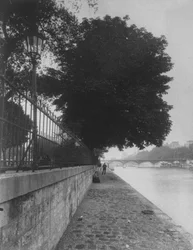 ポンヌフのテレプレインからのポンデザールの眺め、1911