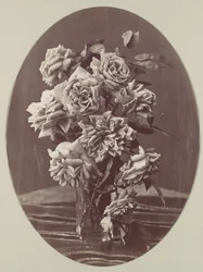 [バラ]、約。 1875年。