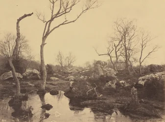 ベル・クロワ、1858年頃（写真）