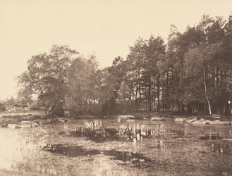 ピアットの湿原（ベル・クロワ高原）、1863年頃（写真）