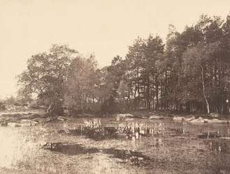 Piat Belle-Croix高原の湿地、c。 1863年。