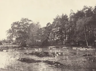 Piat Belle-Croix高原の湿地、c。 1863年。