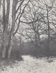 森の道、1860-1863。