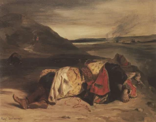 フランス語：ハッサンの死