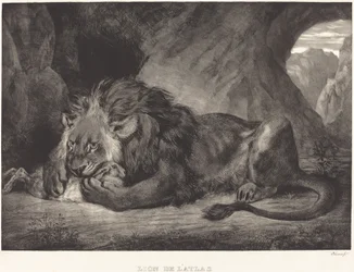 アトラス山脈のライオン Lion de l