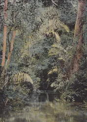 ラリビエールIVI