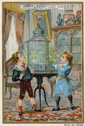 ペットのケージに入れられた鳥がどこに逃げ込んだのだろうと思っている2人の子供