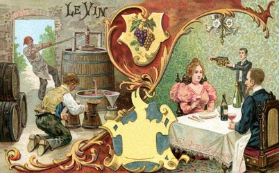 ワイン、1899