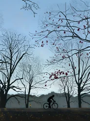 サイクリスト、朝、プロスペクトパーク（デジタルアート）