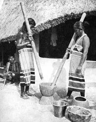 ネパール、1936年、穀物を叩くネワール族の女性。