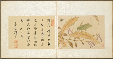 その他の主題のアルバム、リーフ7、1600年代。