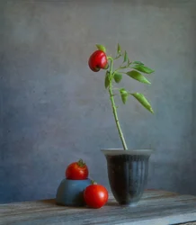 赤いピーマンの静物画