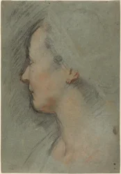 女性の頭
