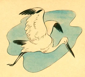 フェデリコ・リバス・モンテネグロによるカラーイラスト（版画）