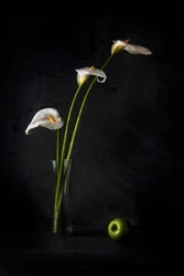 カラリリーとリンゴ