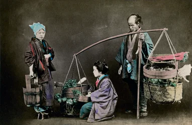 野菜の歩行者、日本、1882