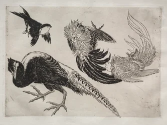 ディナーサービス（ルソーサービス）：キジと鳥（18番）