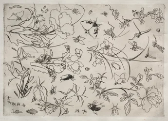 ディナーサービスルソーサービス：花と昆虫いいえ。 1866年。