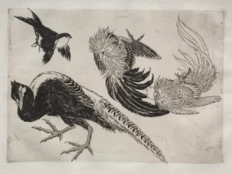 ディナーサービスルソーサービス：キジと鳥no。 1 8866年。