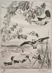 Lapwings and Teals、1862。